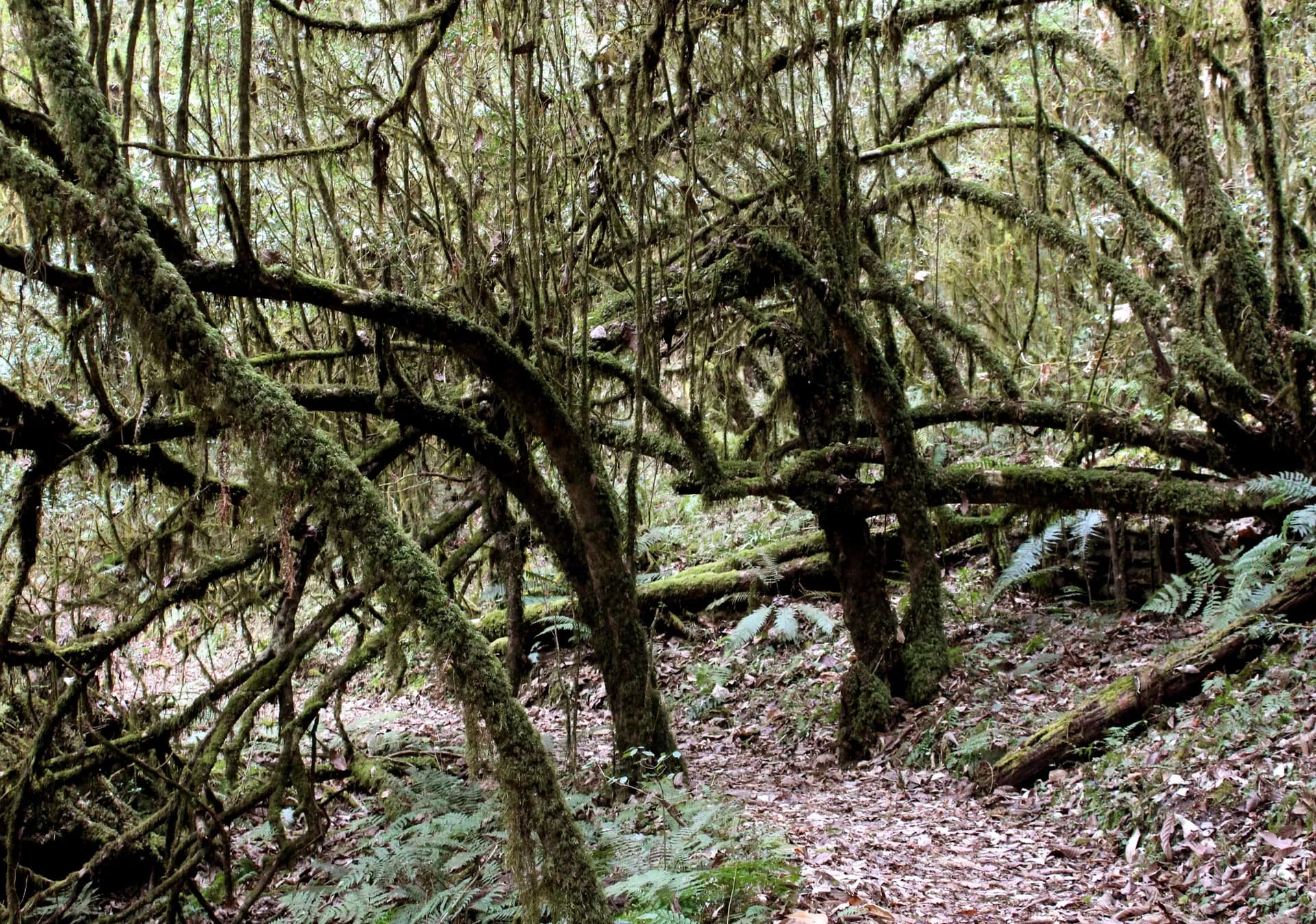 Hilley – Barsey Trek Route