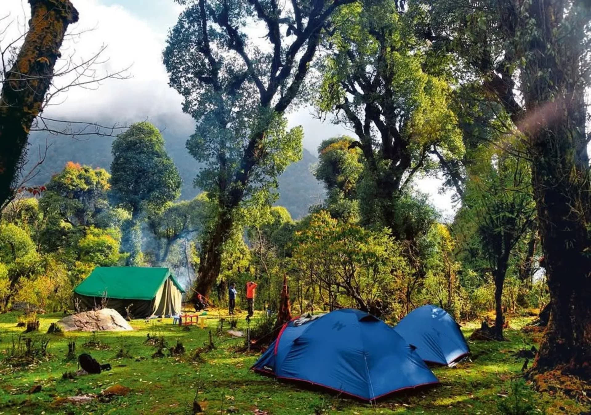 Forest Camping at Barsey