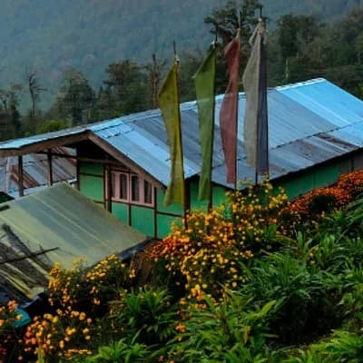 Assam Lingzey - Image 2