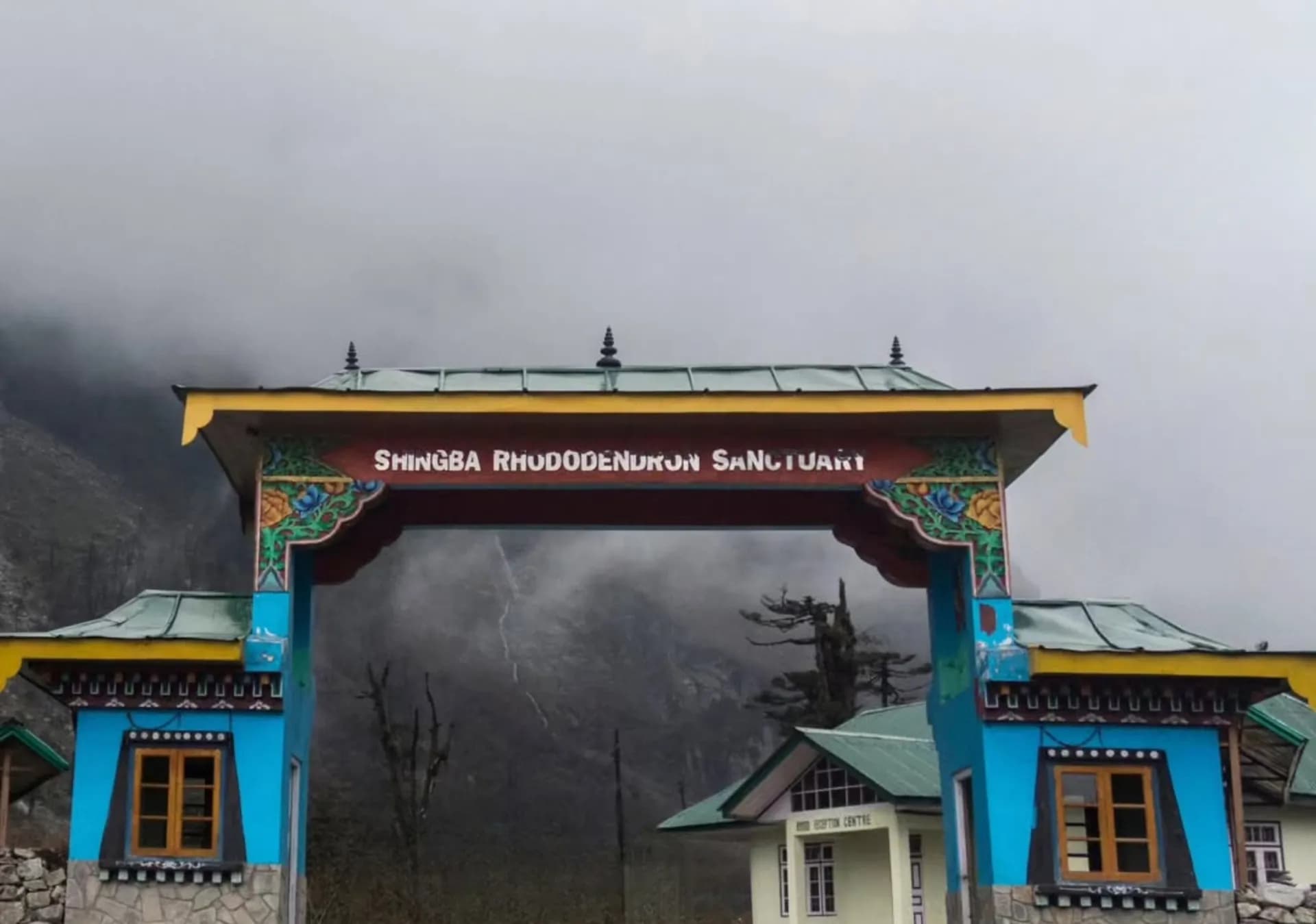 Shingba Rhododendron Sanctuary