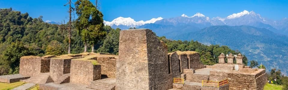 Darjeeling - Image 5