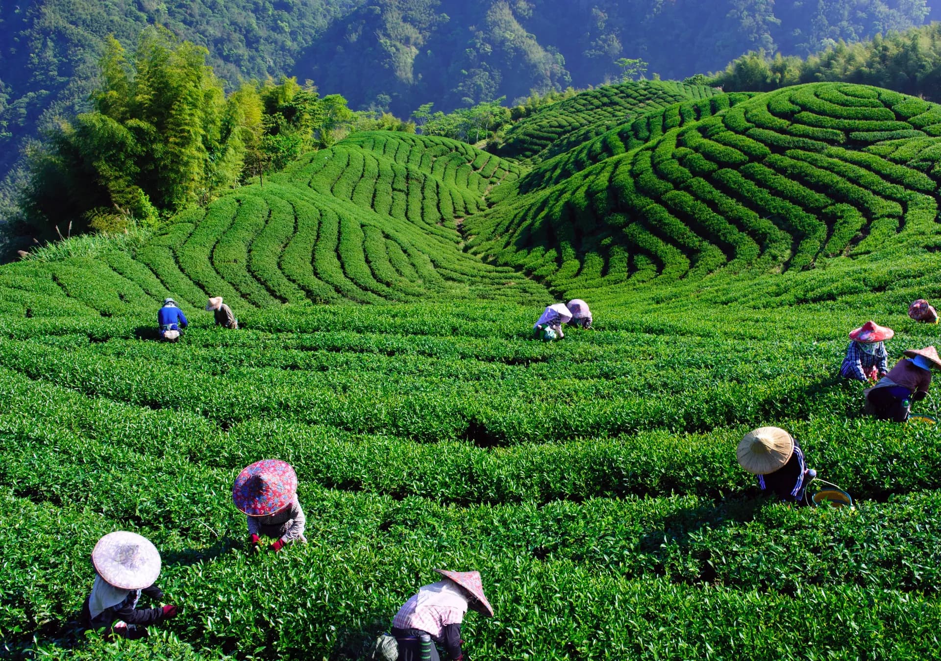 Scenic Views & Photography