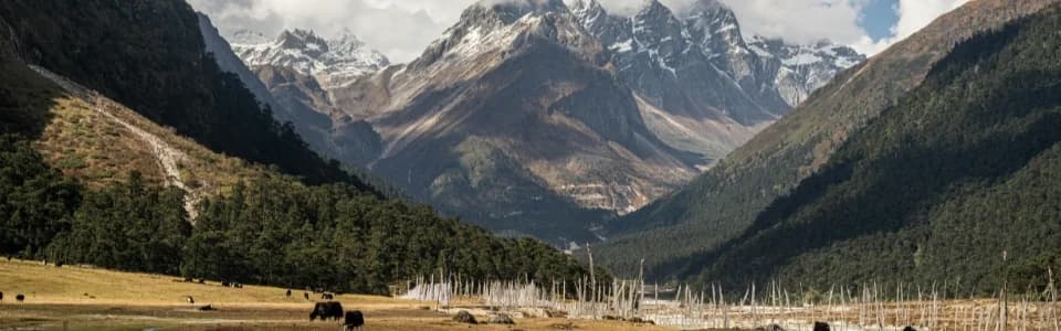 Lachung 2 Nights 3 Days Tour Package