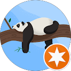 Charu - Sikkim Diaries customer review