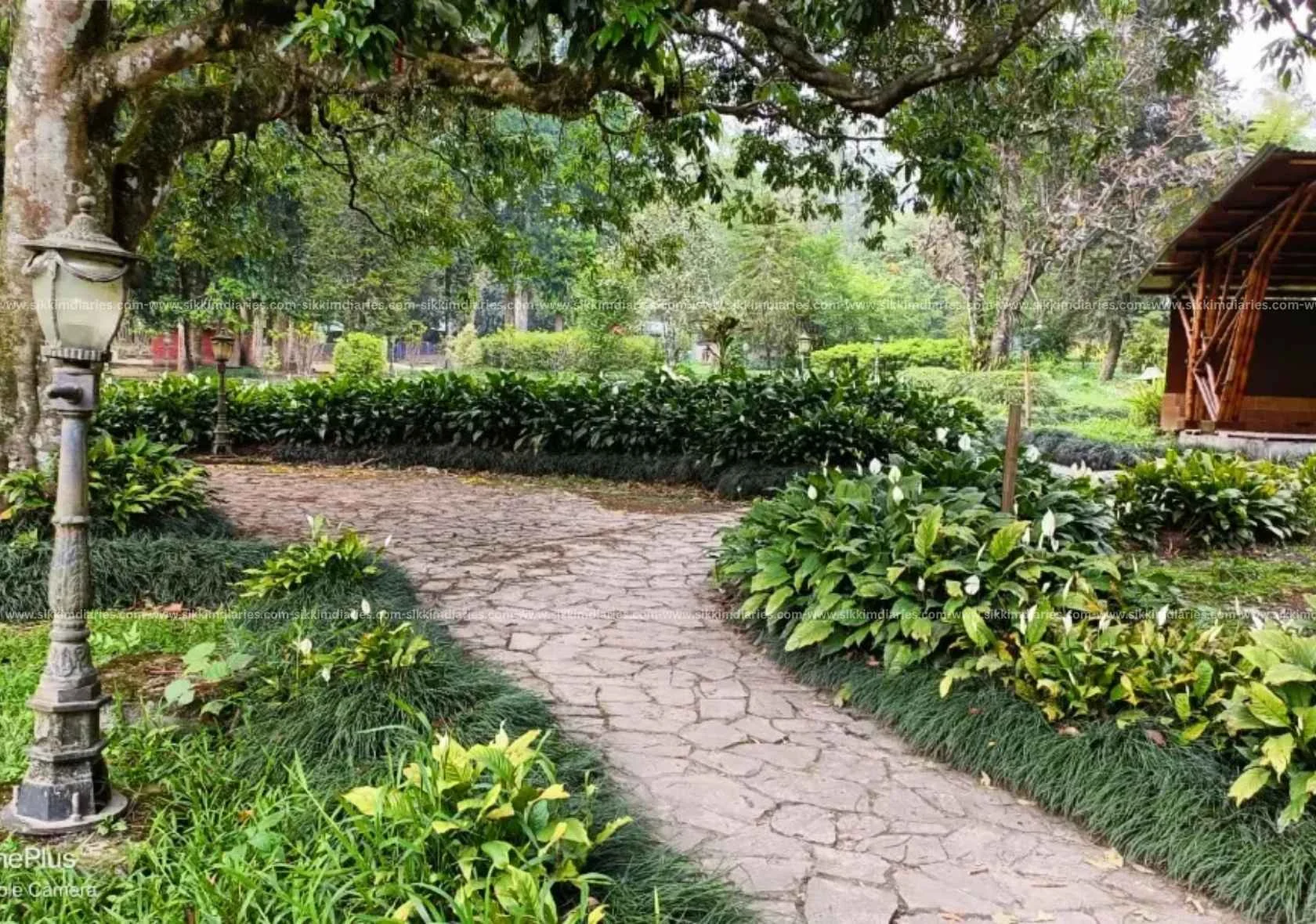 Saramsa Garden Gangtok, Complete Travel Guide (2026)