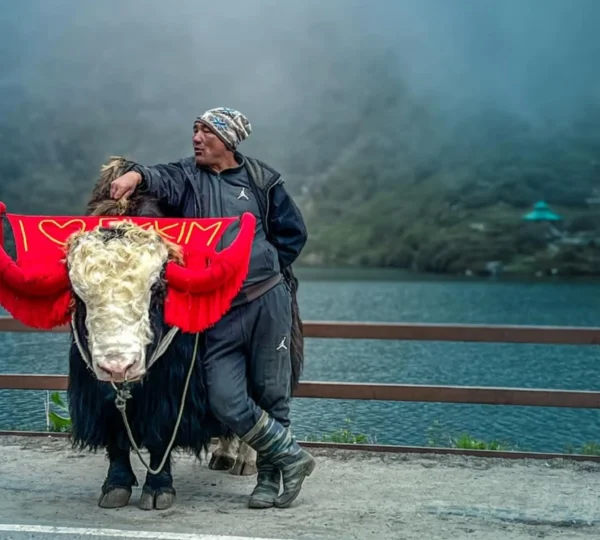 2 nights Gangtok and 1 night Pelling short tour