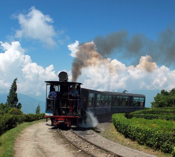 Iconic blue toy train of Darjeeling Himalayan Railway on mountain tracks