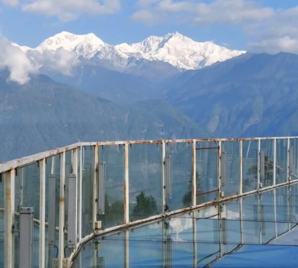 Scenic view of Darap Valley with pine trees and distant mountains