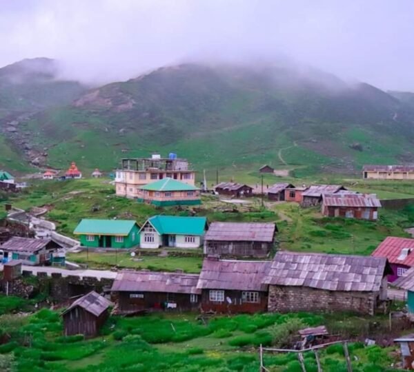 Scenic Nathang Valley with golden meadows and mountain backdrop