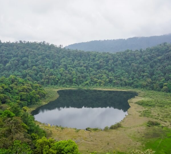 Sacred Khecheopalri Lake surrounded by forests in Pelling
