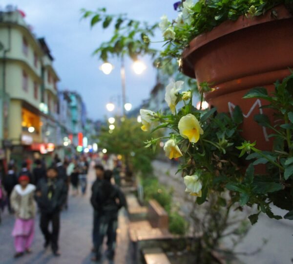 Tourists strolling along the lively MG Marg lined with shops and cafés in Gangtok.
