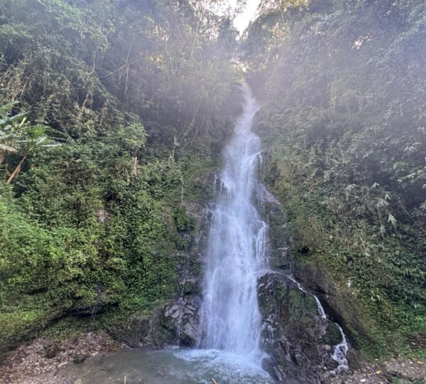 Cascading Rimbi Waterfalls in Pelling surrounded by greenery