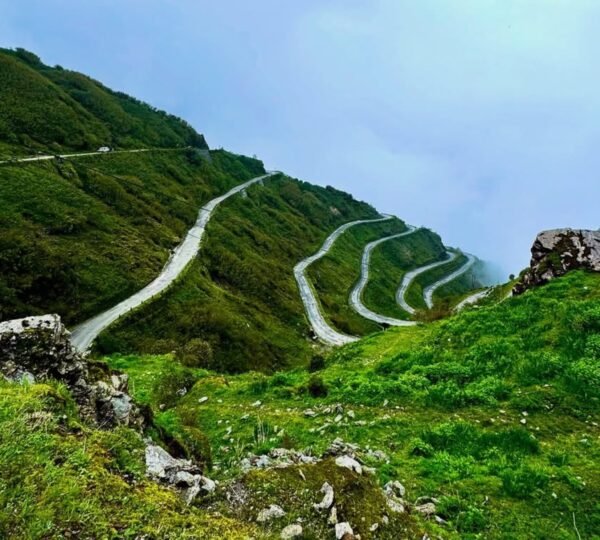 Forest and wildlife habitat around Zuluk in East Sikkim
