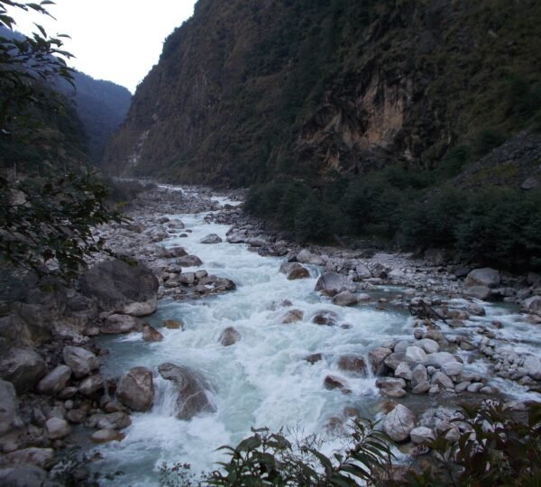 Clear mountain river flowing through green valleys near Lachung